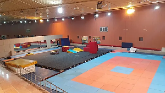 باشگاه ژیمناستیک شرق