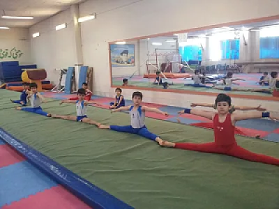 سالن ژیمناستیک نیکوکار