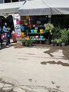 محلاتی