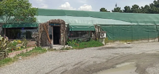 بازار گل و گیاه فکوری