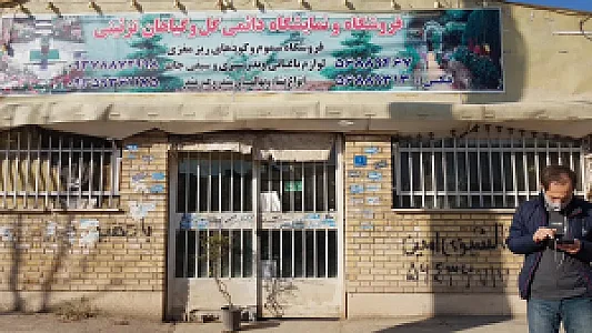 فروشگاه گل و گیاه آزادگان