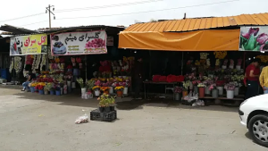 بازار گل شهرداری تهران