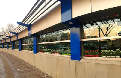 گل های زعیم