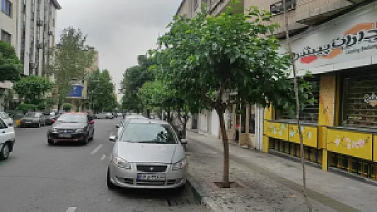 زنبورداران پیشرو