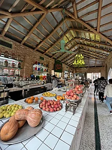 کافه روحی