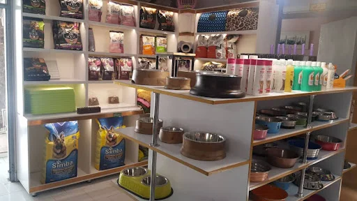 کلینیک حیوانات خانگی تبریز - کلینیک دامپزشکی در تبریز