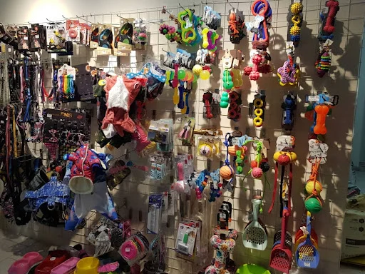 کلینیک حیوانات خانگی تبریز - کلینیک دامپزشکی در تبریز