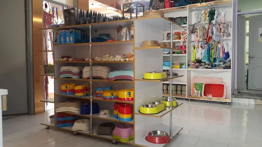 کلینیک حیوانات خانگی تبریز - کلینیک دامپزشکی در تبریز