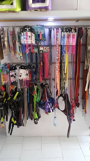 کلینیک حیوانات خانگی تبریز - کلینیک دامپزشکی در تبریز