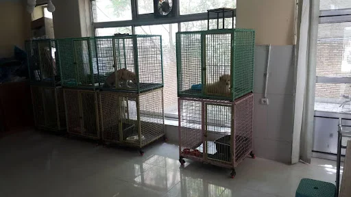 کلینیک حیوانات خانگی تبریز - کلینیک دامپزشکی در تبریز