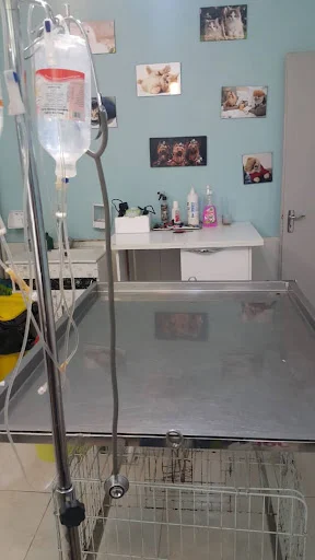کلینیک حیوانات خانگی تبریز - کلینیک دامپزشکی در تبریز