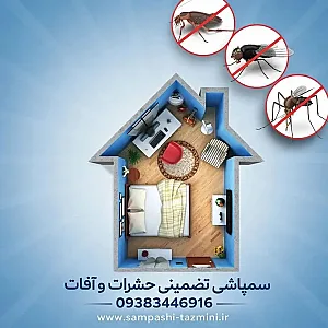 سمپاشی سوسک ریز کابینتی