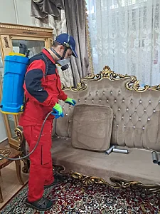 شرکت سمپاشی ساس VIP - سمپاشی ساس تضمینی