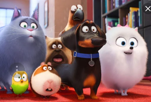 کلینیک حیوانات خانگی ارک - کلینیک دامپزشکی در تبریز