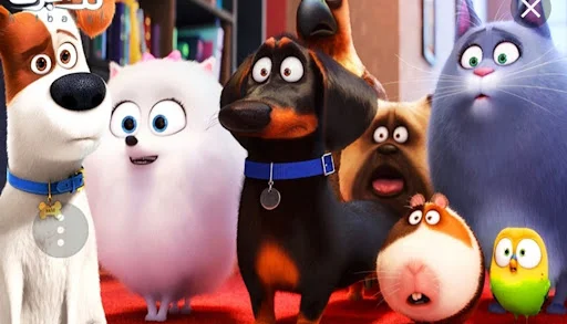 کلینیک حیوانات خانگی ارک - کلینیک دامپزشکی در تبریز