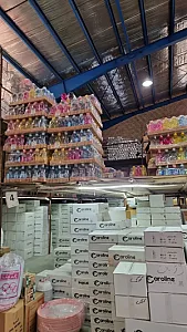 پلاستیک و بلور مقدسی پور
