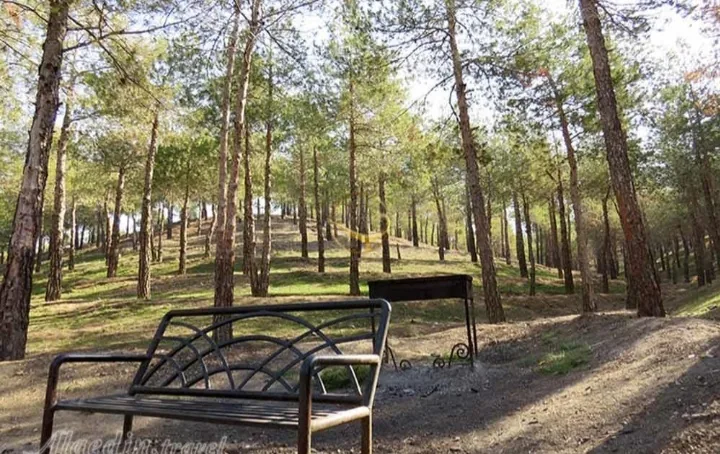 بوستان جنگلی چیتگر