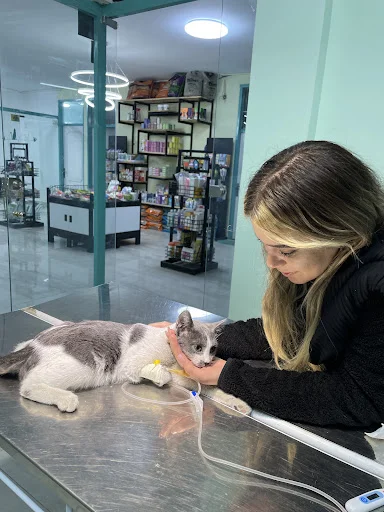 کلینیک دامپزشکی هپی پت