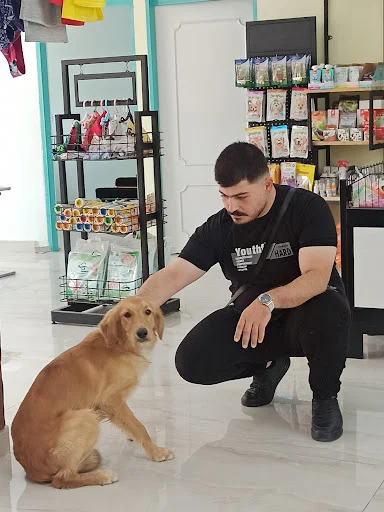 کلینیک دامپزشکی هپی پت - کلینیک دامپزشکی در تبریز