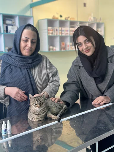 کلینیک دامپزشکی هپی پت - کلینیک دامپزشکی در تبریز