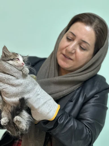 کلینیک دامپزشکی هپی پت - کلینیک دامپزشکی در تبریز