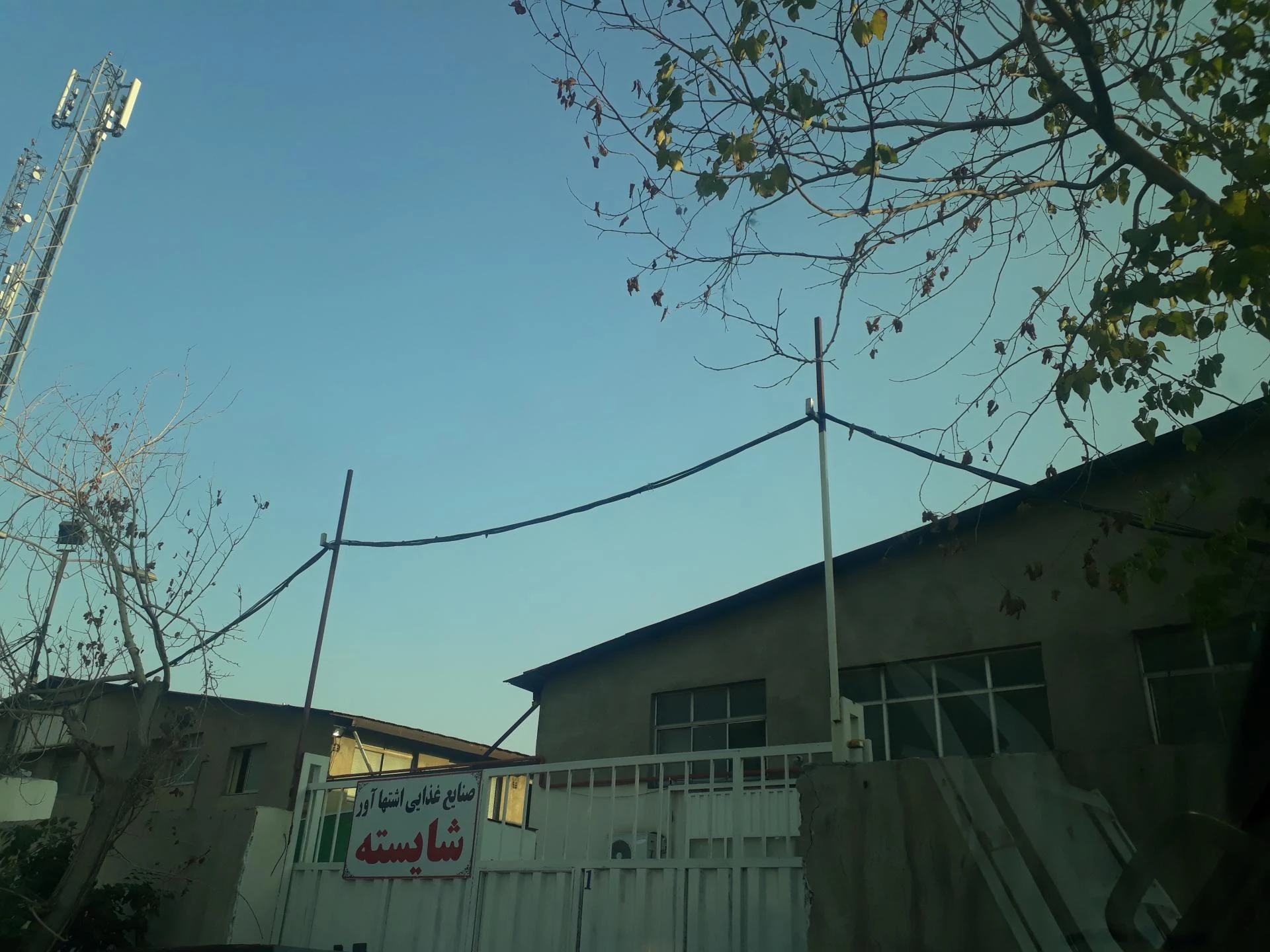 کارخانه مواد غذایی شایسته