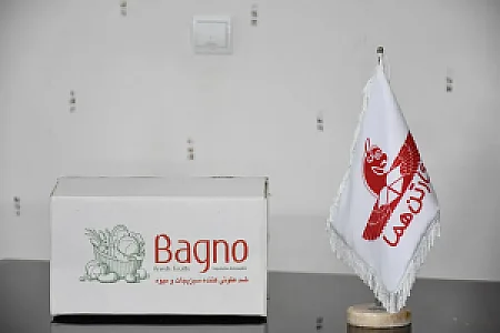 کارتن سازی هما