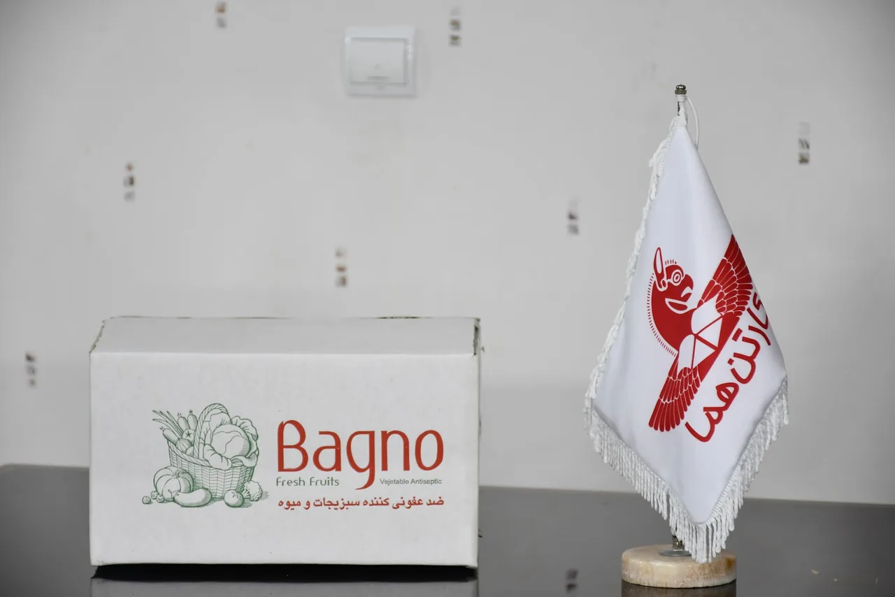 کارتن سازی هما
