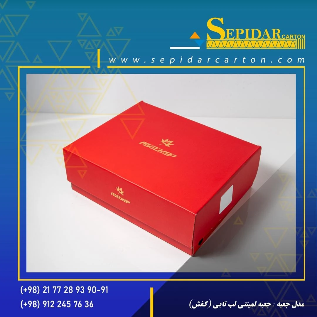 کارتن سازی سپیدار کارتن - تصویر 3