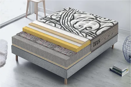 تشک داتیس