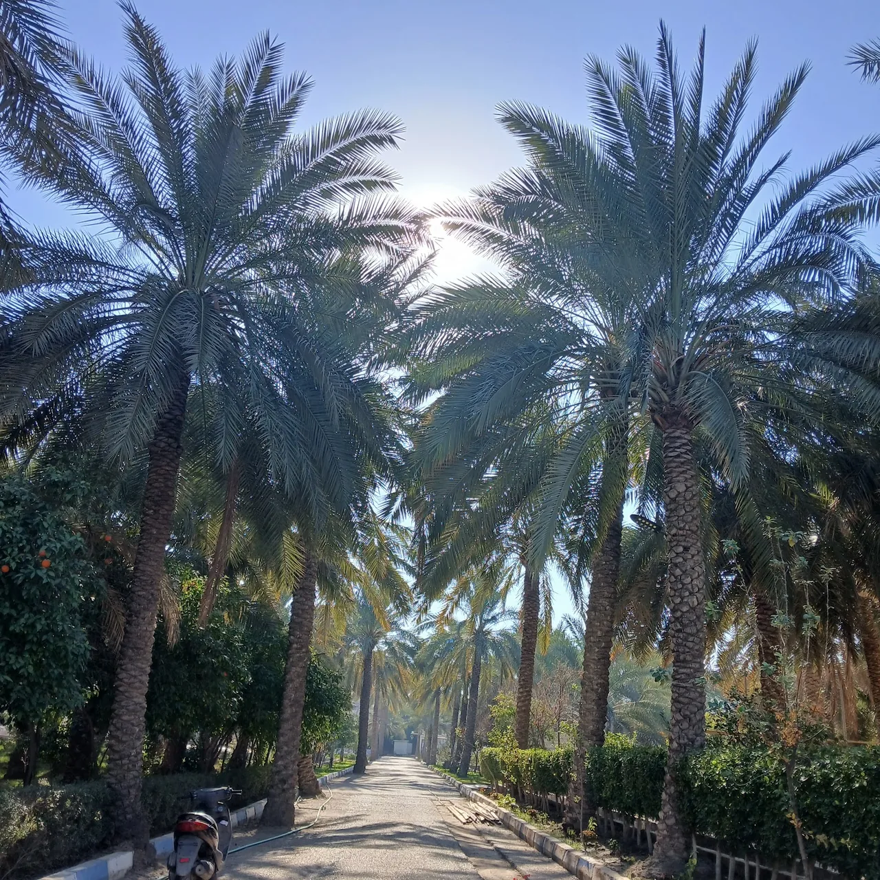 دکتر حسین ضیایی اردکانی - چشم‌پزشک در تهران - تصویر 2