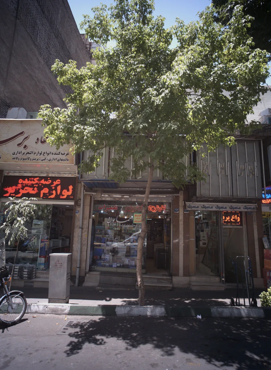 همایون
