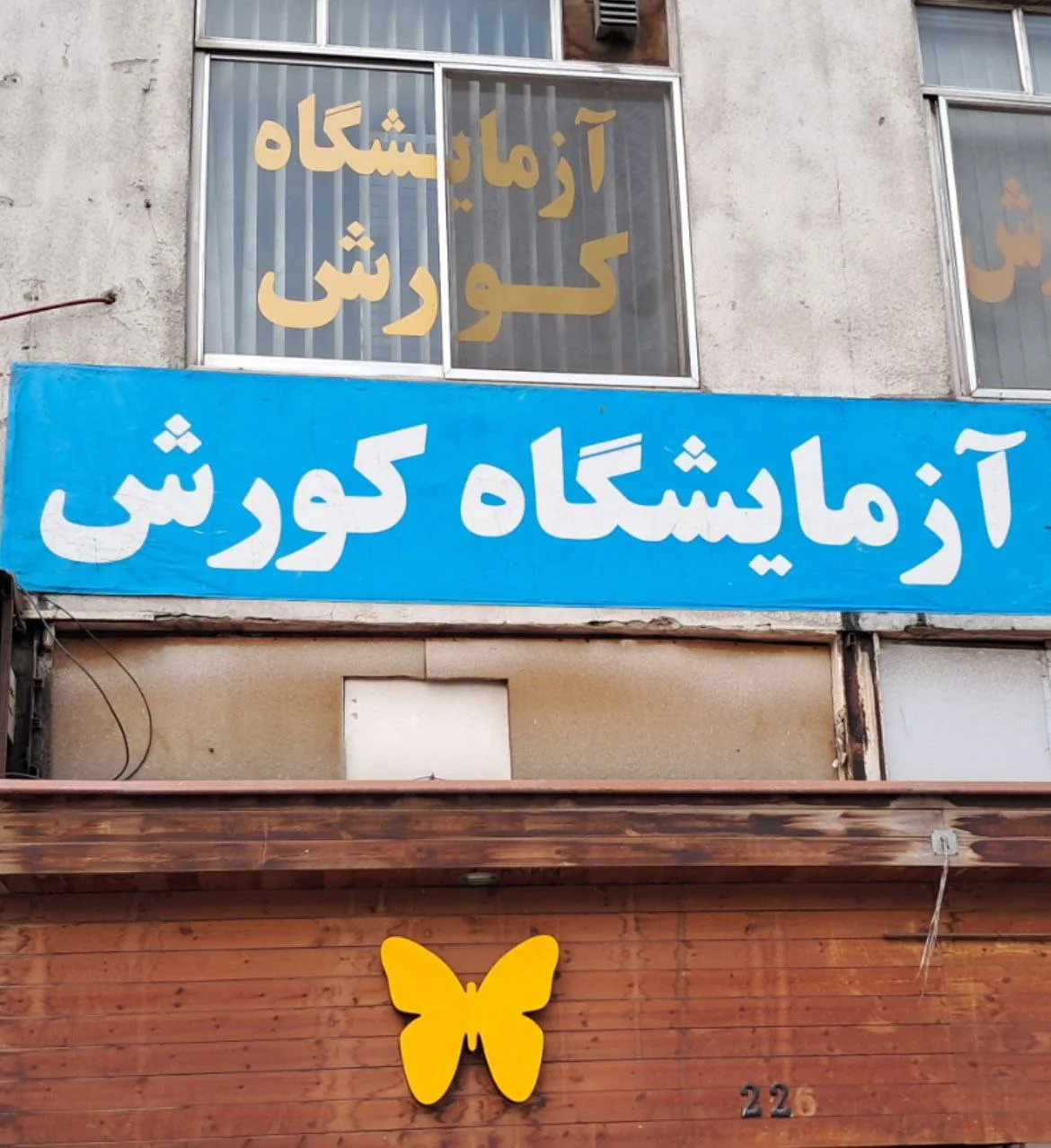 آزمایشگاه تجریش - تصویر 6