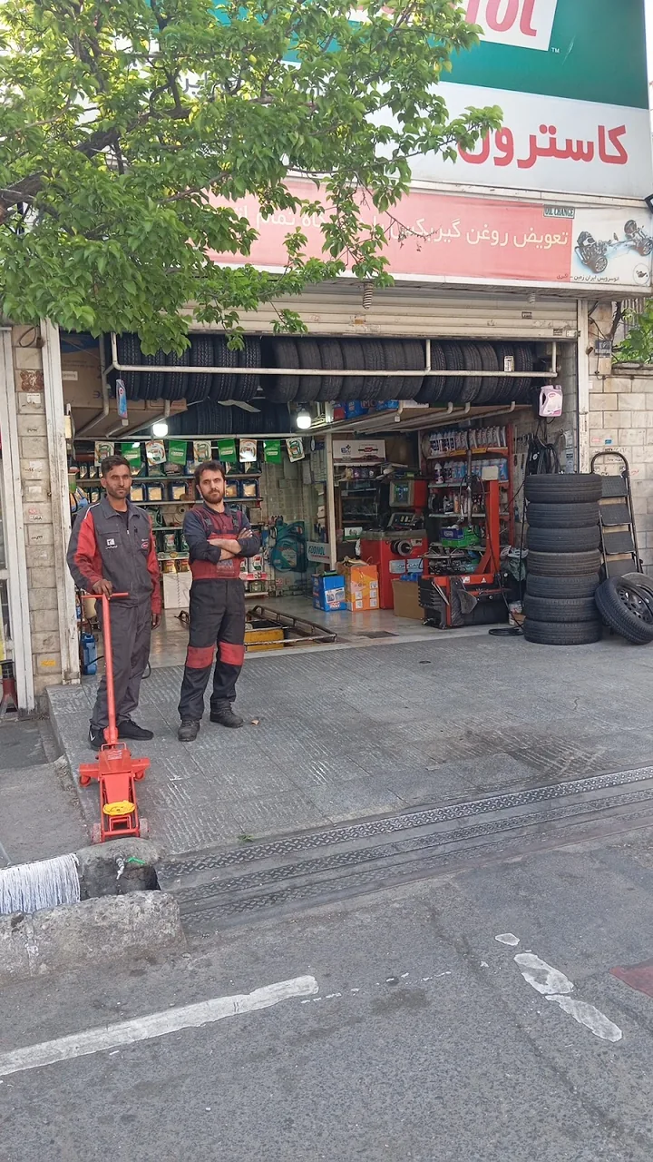 دالینو - تصویر 6
