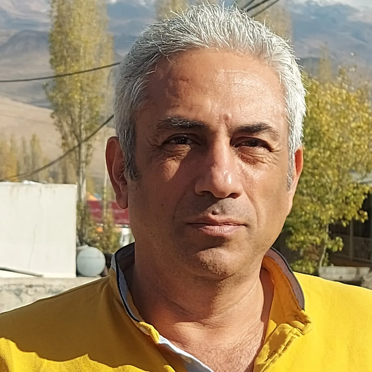 کارشناسی خودرو پایتخت - تصویر 4