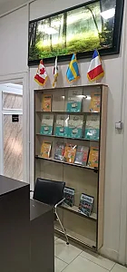 آموزشگاه زبان انگلیسی تهران زبان