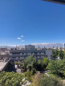 سازمان مرکزی دانشگاه تهران
