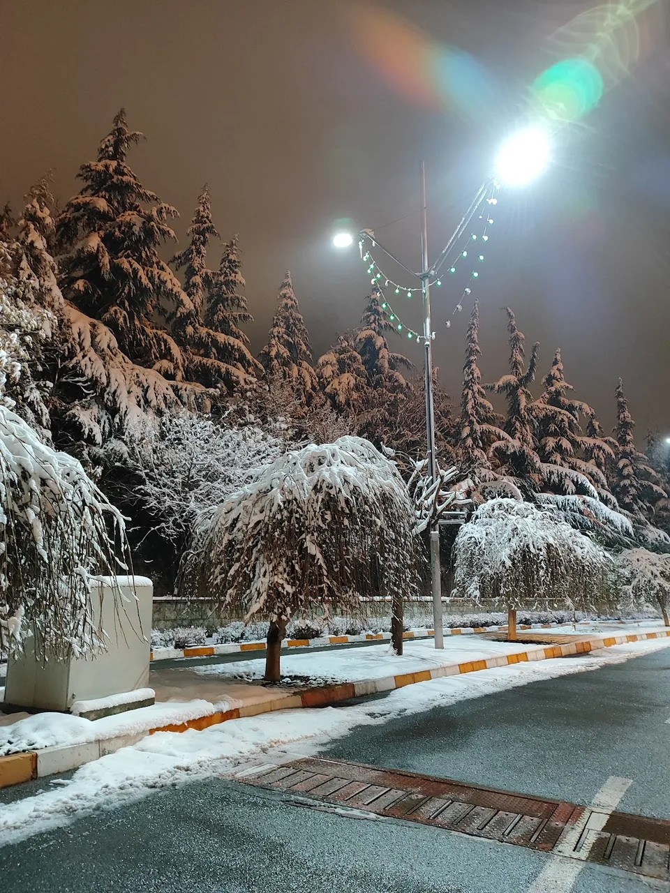 پارکینگ شمالی نمایشگاه بین المللی تهران - تصویر 6