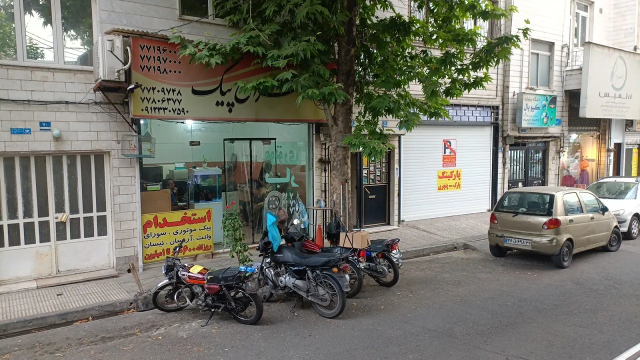 پیک بادپا - تصویر 4
