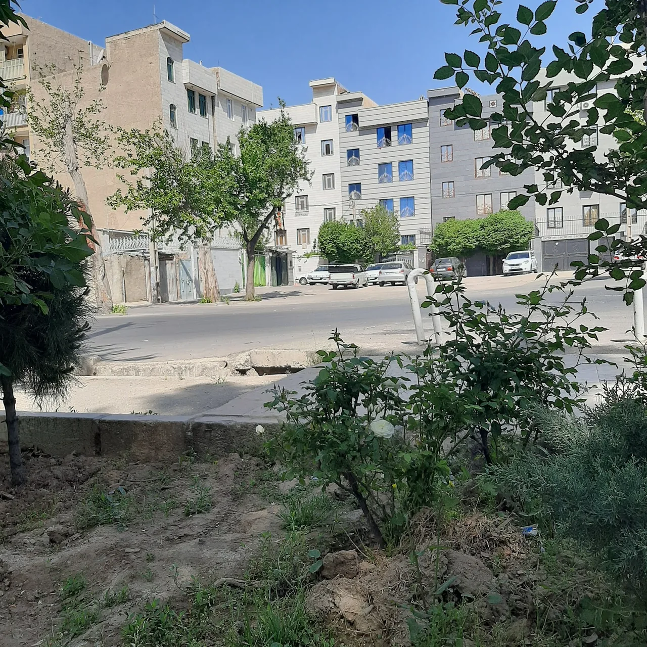 ایران بار - تصویر 5