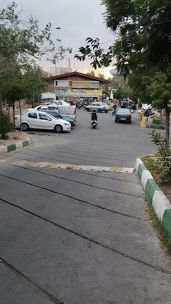 کالارسان - تصویر 5