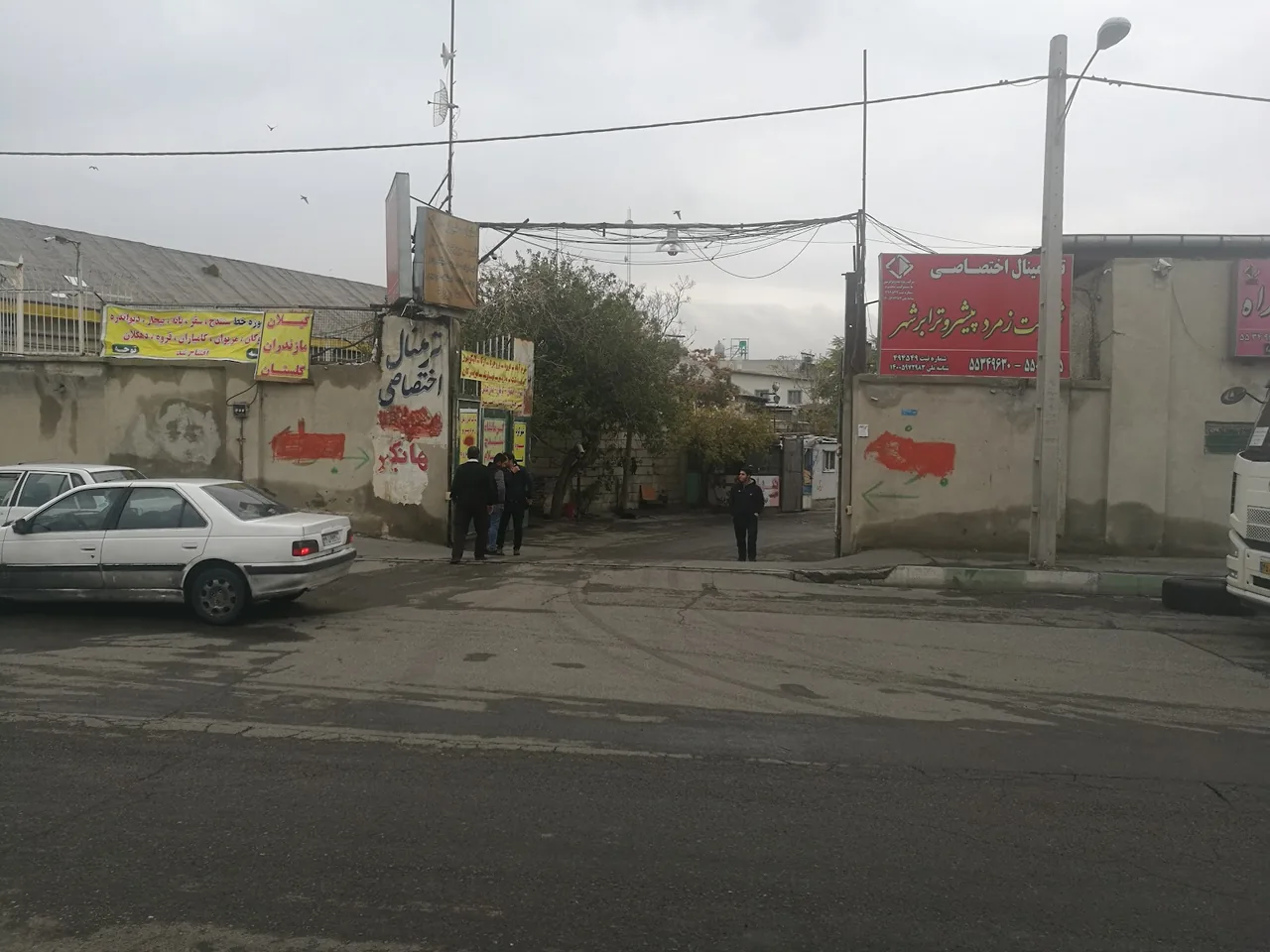 باربری زمرد - تصویر 2