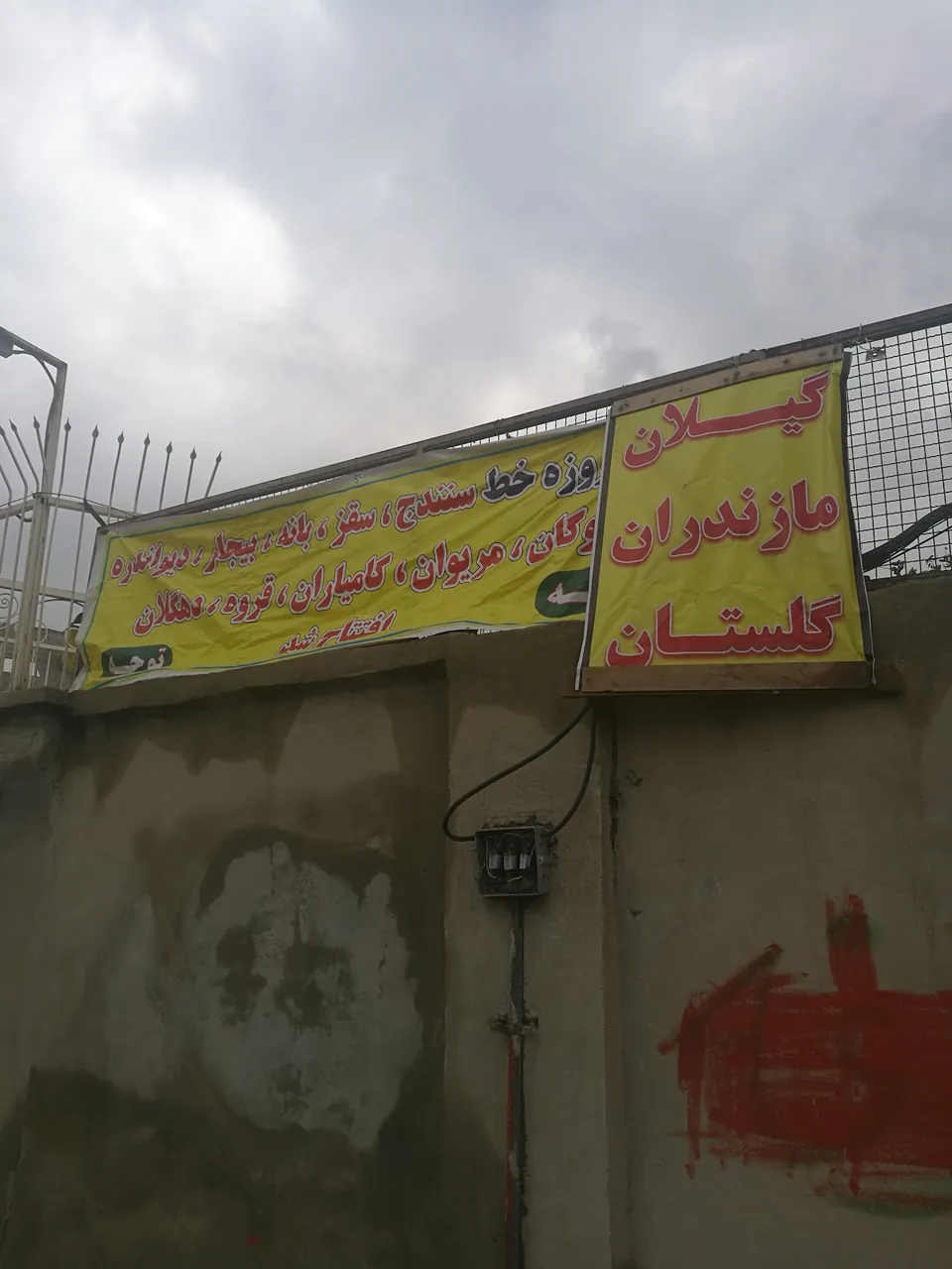 باربری زمرد - تصویر 4