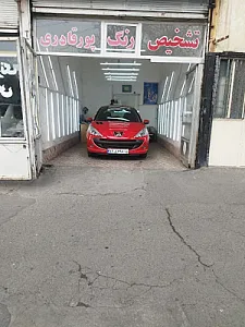 تشخیص رنگ پورقادر