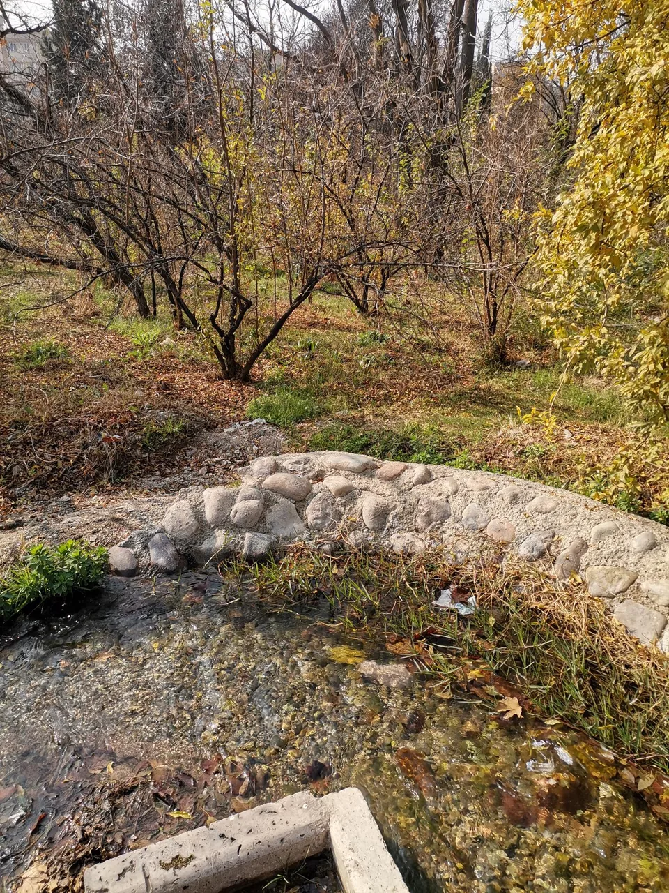 فرهنگسرای‌ اشراق - تصویر 4