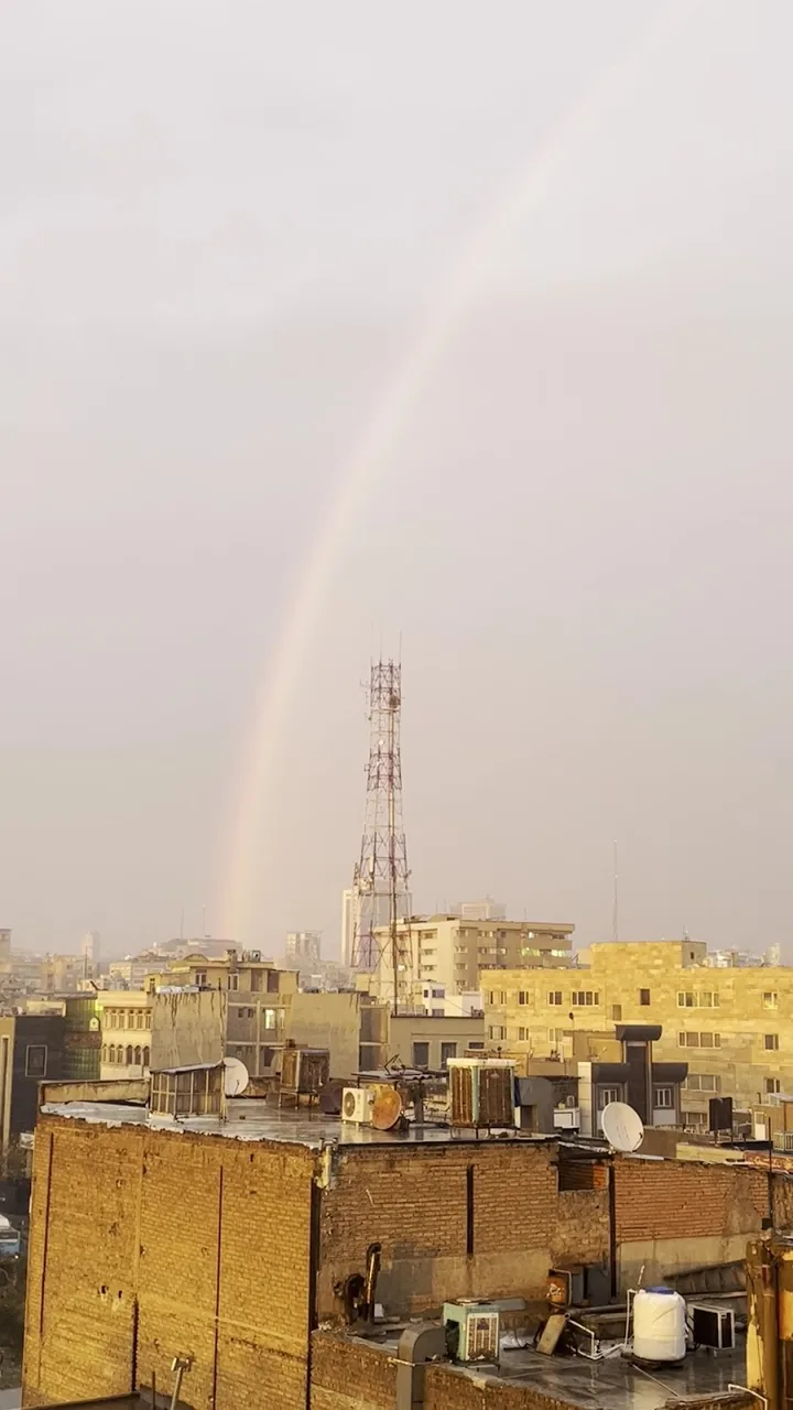 دارالترجمه آلفا - تصویر 3