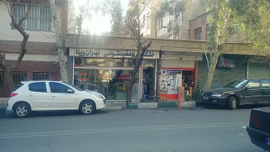 خشکشویی تهران ویلا