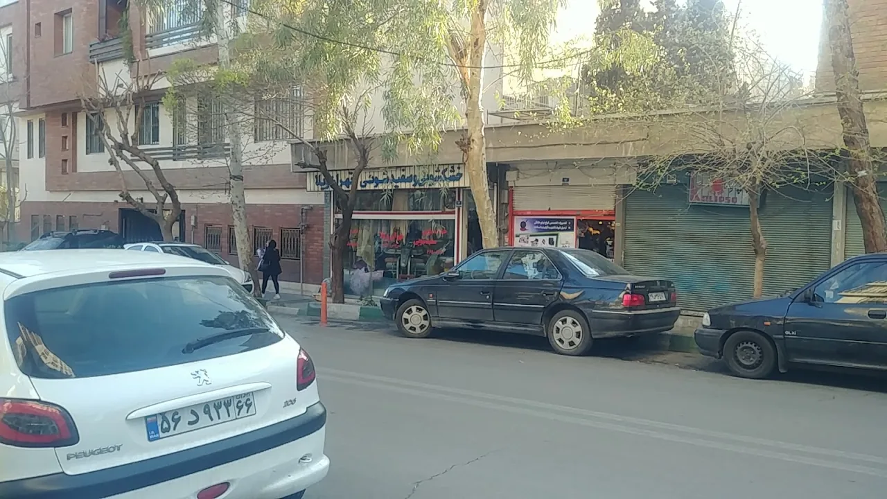 خشکشویی تهران ویلا - تصویر 2
