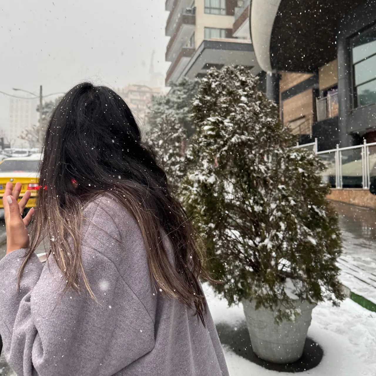 قالیشویی ایران مهر - تصویر 4