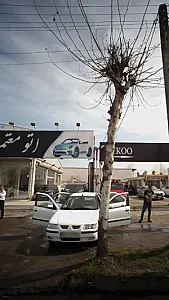 اتو معتمد